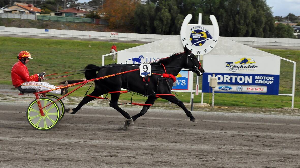 Matt Craven takes Bellas Jet to the finishing line in the Stawell Harness Racing Club's Judith McLEod Memorial. Picture: Marcus Marrow