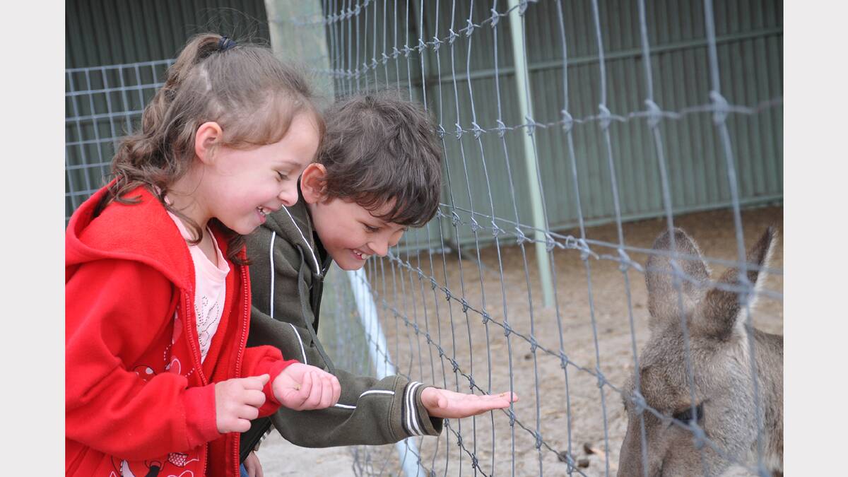 Callum and Abby Worrell hand feed kangaroos during the Halls Gap Zoo open day. Families who attended the open day also visited Halls Gap township, providing an excellent boost to the economy.