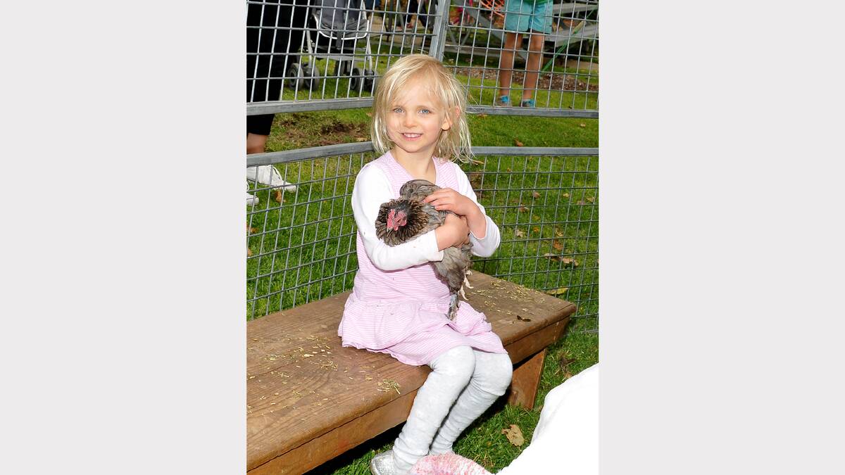 Four year old Ellie Uebergang enjoyed being able to pat this chicken in the animal zoo at Central Park.