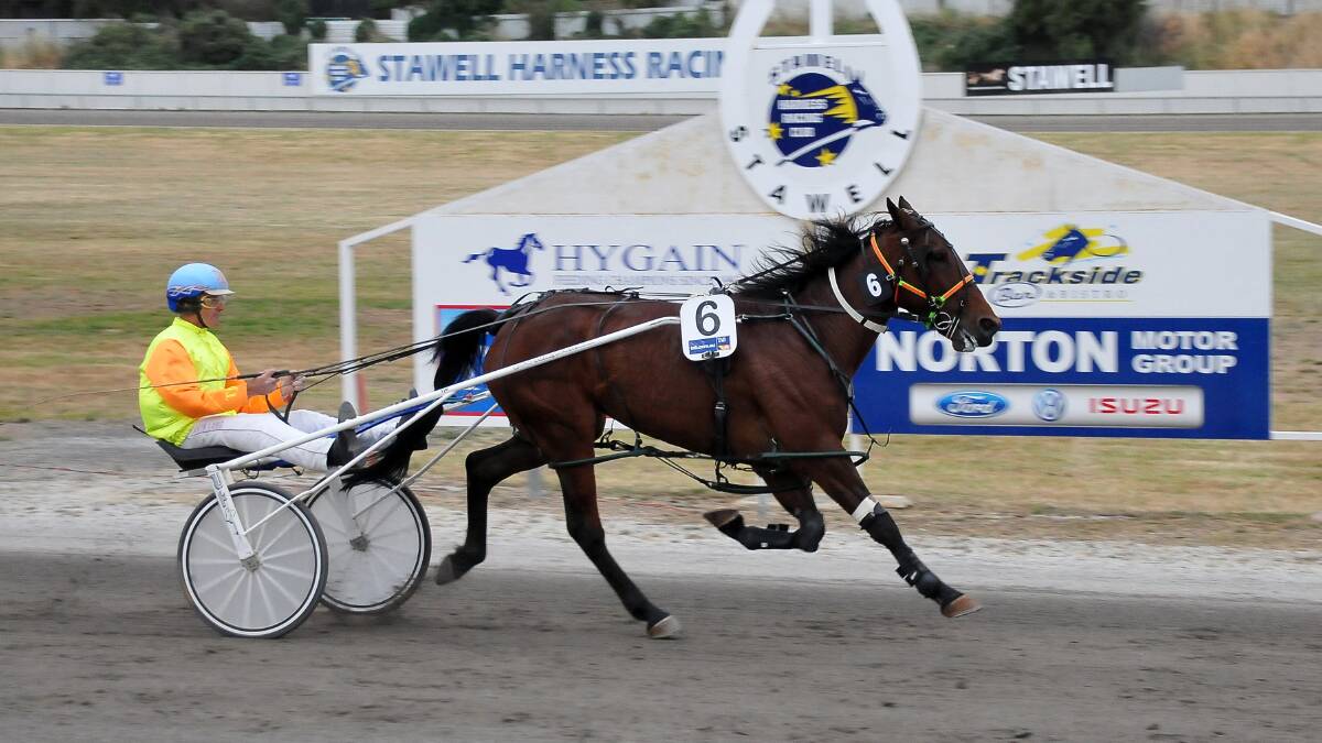 Arber, winner of the Stawell Pacing Cup in 2014, will be back to defend his title.