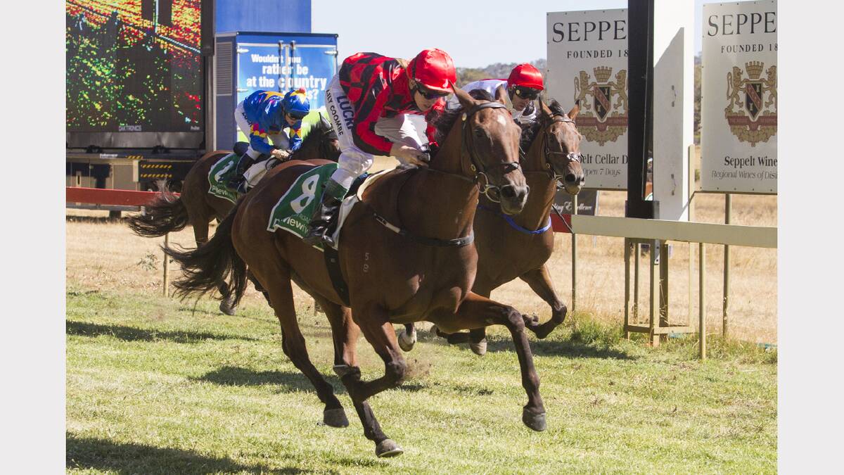 Spanish Vixen, pictured winning the Grampians Halls Gap Cup at Ararat this year, claimed the St Arnaud Cup on Saturday.