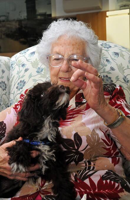 Kathleen Jose offers the resident Spoodle, Coco, a treat during a recent visit
to Eventide Homes. Picture: KERRI KINGSTON. 