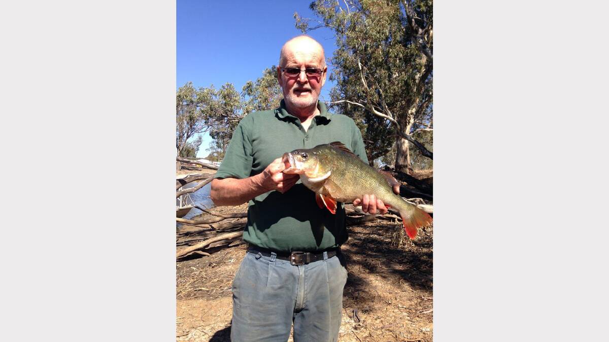 Ray Howard with a big redfin caught at Mt William Creek.