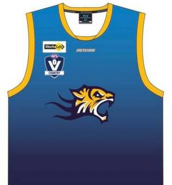 NEW: The proposed Nhill football jumper aims to unite the club's teams.