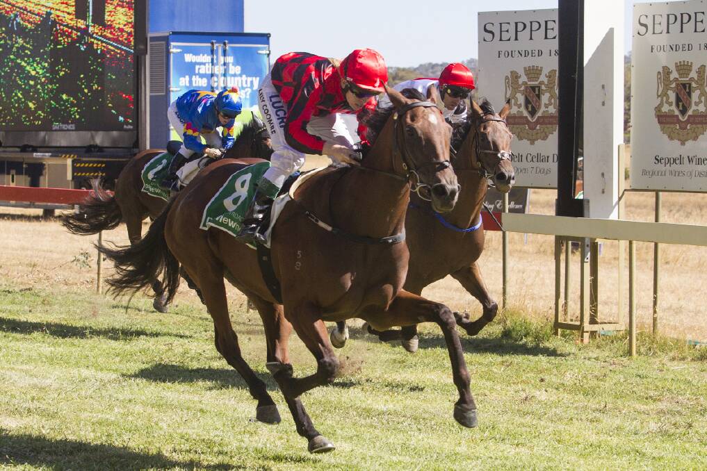 Spanish Vixen, notched up her biggest career win to date when she took out the Seppelt Salinger Great Western Cup on Saturday. Picture: PETER PICKERING.