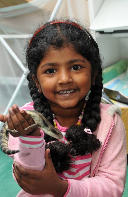 Shagee is pictured with a blue tongue lizard which was part of Jamie and Kim's very popular Mobile Zoo.