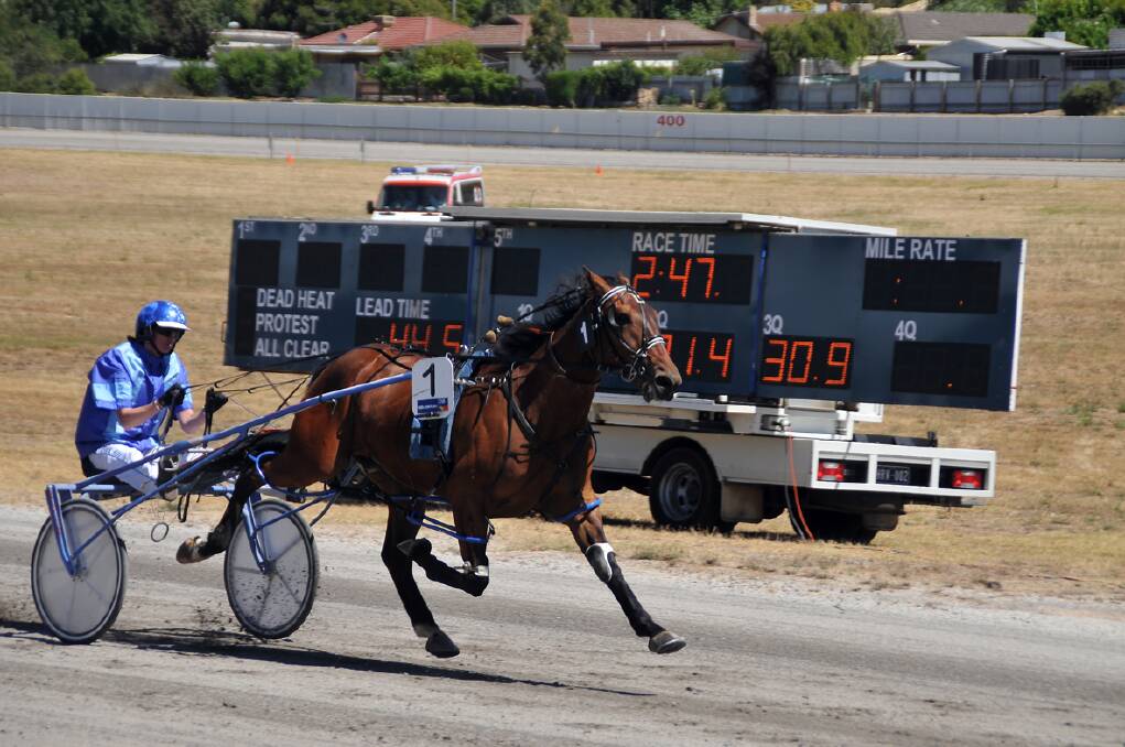 Talented three year old pacer, Znana, with Kerryn Manning at the controls, goes to the line a comfortable winner of the Gold Reef Clothing Pace heat at Stawell. Picture: MARK McMILLAN.