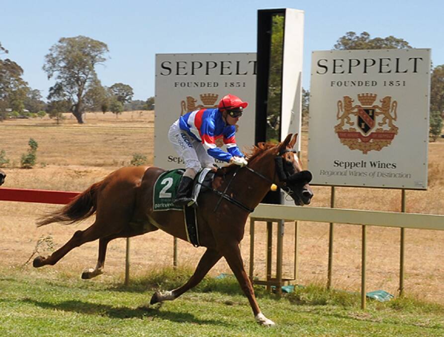 Seven year old gelding Jeunelism, with Ben Knobel in the saddle, wins the Best's Eric Thomson Memorial Trophy race at Great Western. Picture: MARK McMILLAN.