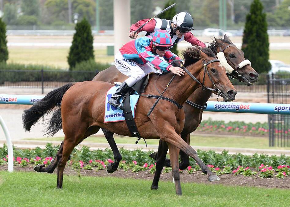 Talented mare Vihanna Victory defies a wide run to battle on strongly over the concluding stages and win the Chandler McLeod Handicap at Moonee Valley. Picture: SLICKPIX.