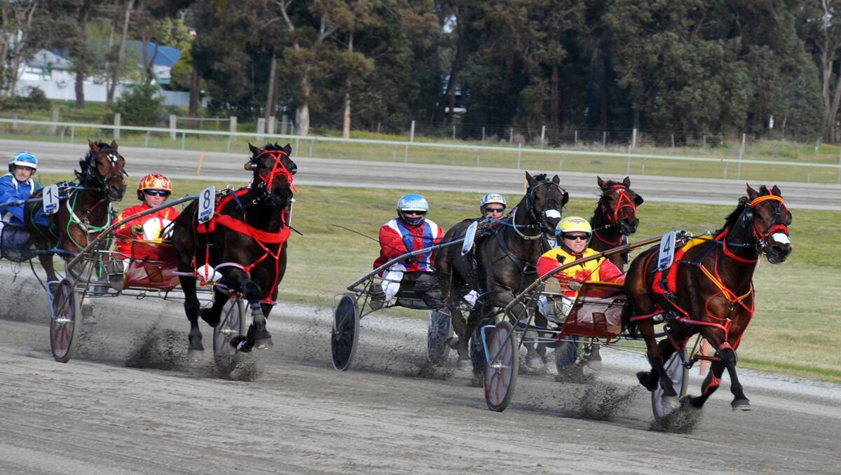 Keayang Rustler (no. 4) goes to the line a winner in the Geoffrey Sanderson Life Member Pace at Stawell last Wednesday. Picture: MARCUS MARROW