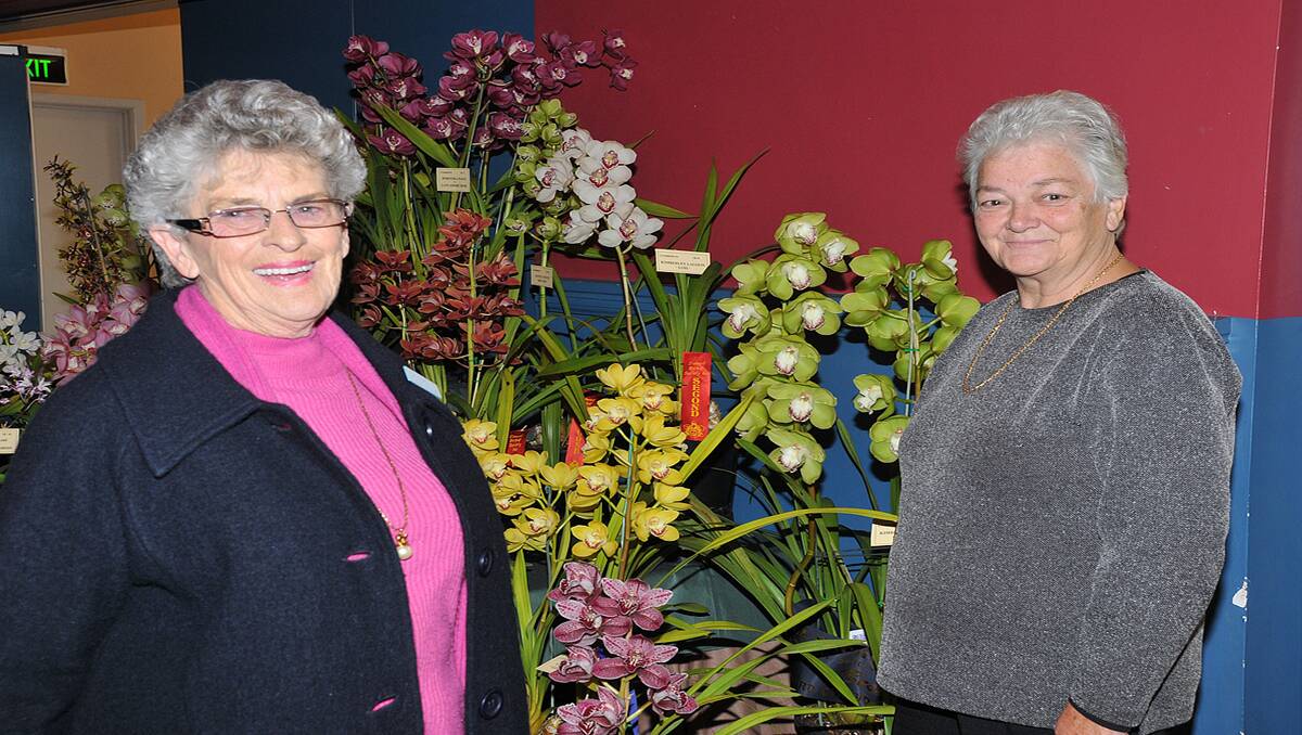 Nancy Reyne (left) discusses the display set up by Lois Williams (right) at the orchid spring show. Picture: MARK McMILLAN