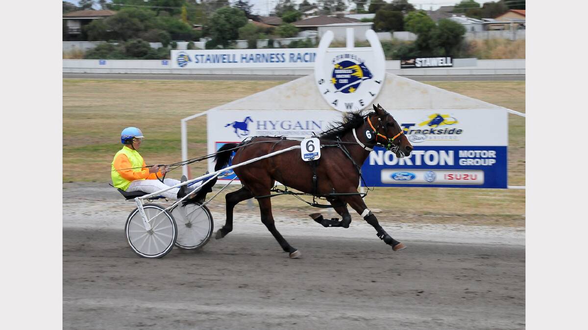Arber with Gavin Lang at the controls, cruises to victory in the Stawell Farm Supplies Stawell Pacing Cup, breaking the track record.