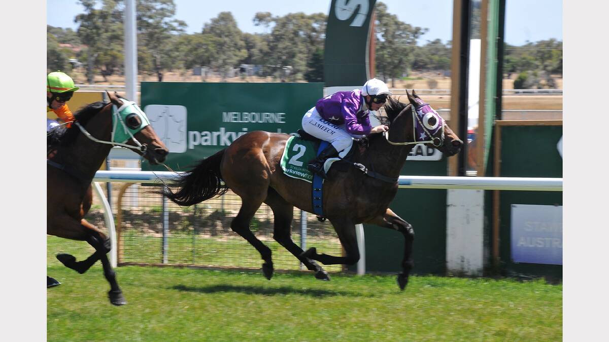 Linda Meech guides Ethicist to victory in the Grampians Excavations 0-58 Handicap at Stawell on Saturday.