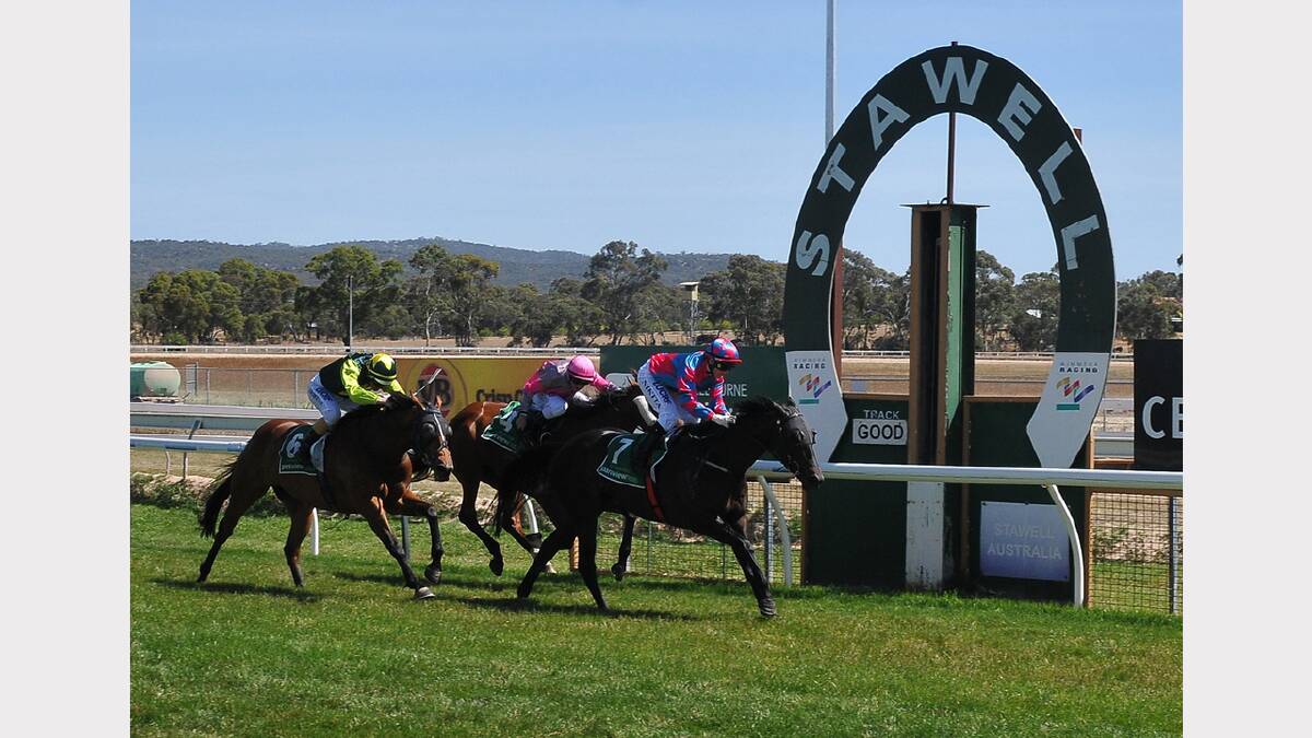 Clear Direction, with Nikita Beriman in the saddle, wins the Bi-Rite Stawell Benchmark 70 Handicap at the Stawell Christmas Race Day.