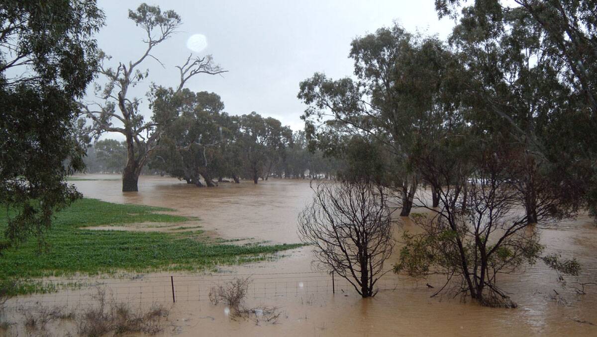 Flood water rushes through paddocks, causing extensive damage to fencing and killing livestock in the Joel South area during the height of the floods.