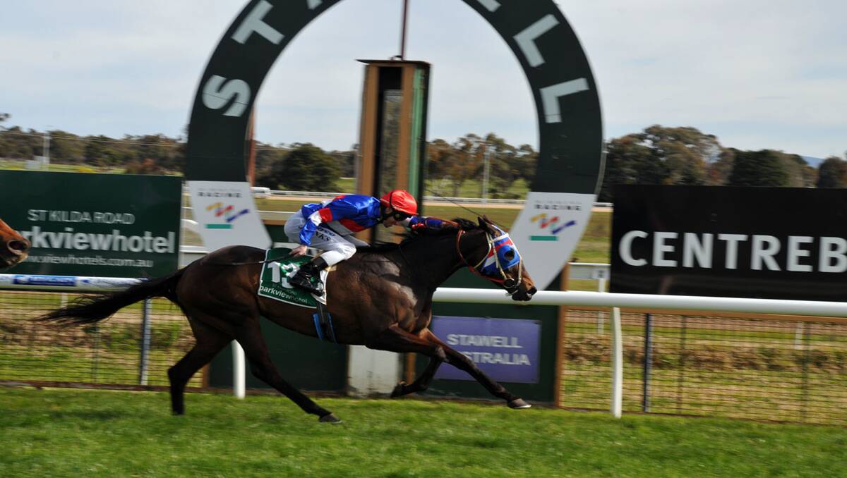She's Ayce finally breaks through with a win in the Hennessy Park Stables Maiden Plate at Stawell. Picture: MARCUS MARROW