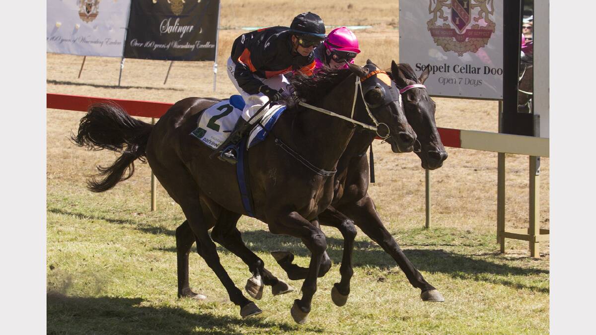 Gottino on the outside just holds on to win last year’s Seppelt Salinger Great Western Cup. Another horse will write his or her name into the history books in tomorrow’s Great Western Cup.