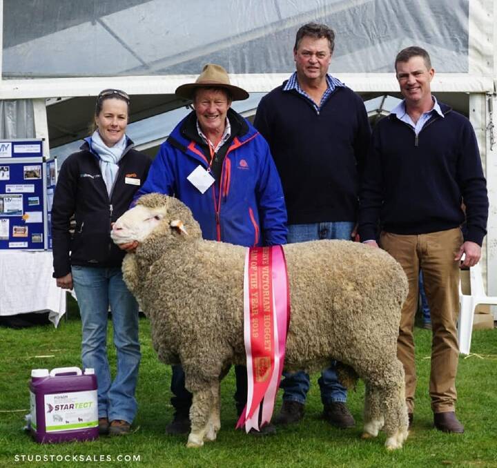 WINNER: In 2019, Glendonald Merino Stud took out the Supreme Victorian Hogget Ram of the Year. Picture: CONTRIBUTED