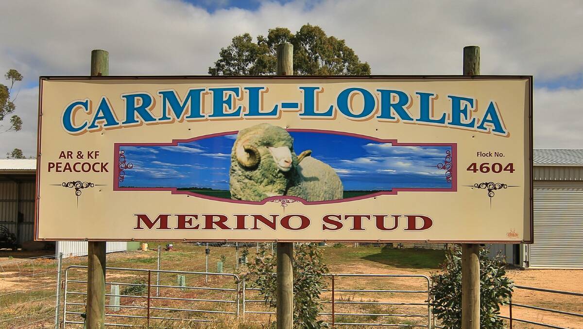 FOR SALE: The 127 hectare property in Landsborough West is offered for ale by tender closing, on Thursday 3 June through Nutrien Harcourts agent Max Brown of Stawell. Picture: CONTRIBUTED