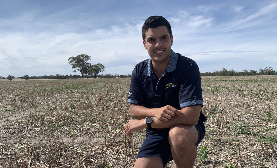 WATCHING: Tyler's Rural agronomist Ash DeClifford is keeping an eye in mice populations on Wimmera farms. Picture: TALLIS MILES