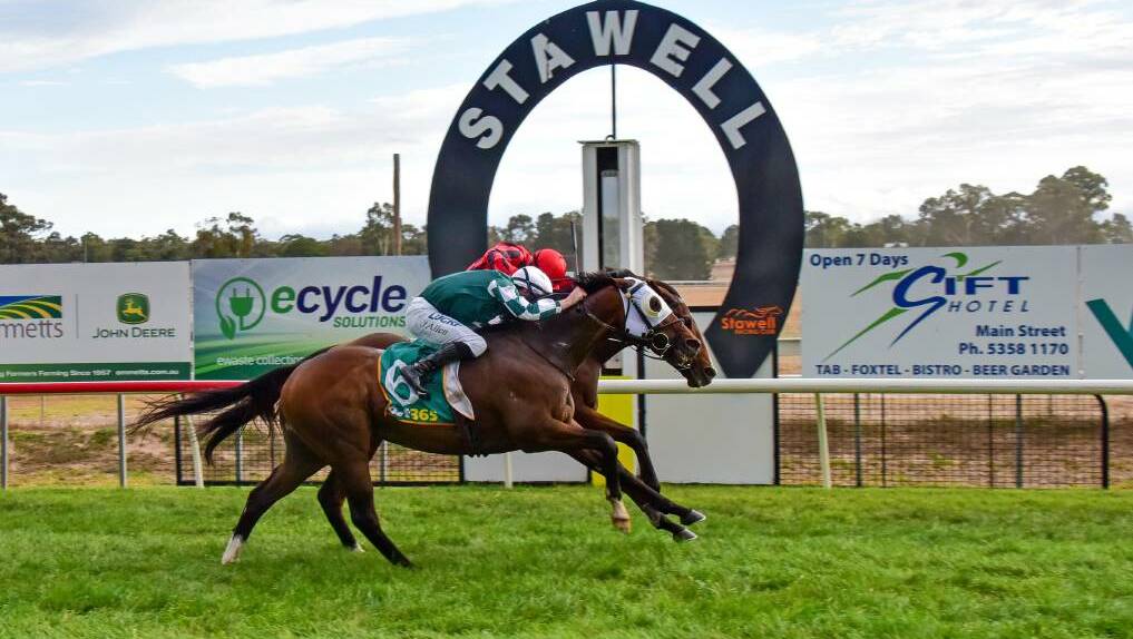 HOPEFUL: It is unknown whether spectators will be allowed to attend Stawell Racing Club's Christmas meet on December four. Picture: BRENDAN MCCARTHY/RACING PHOTOS