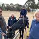 FUN: Senior Constable Max Mudge with volunteers and riders from Stawell RDA. Picture: BEN FRASER.