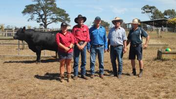 Leah Drendel and Jack Dowell, Weeran Angus, Byaduk with Luke and Gil Rees, Roo Park, Telangatuk East and AWN livestock agent Stephen Kelly with the top priced bull Lot 4, Weeran Telecom VHW22T151. Picture by Philippe Perez