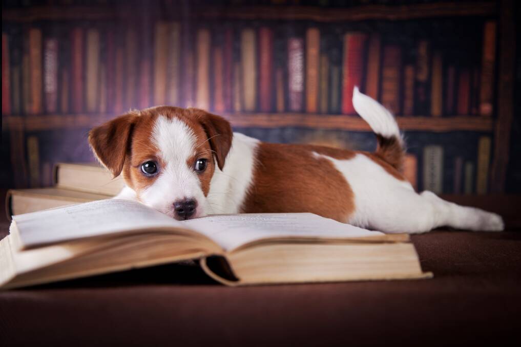 TALE OF A TAIL: Great books to celebrate that very special canine connection.