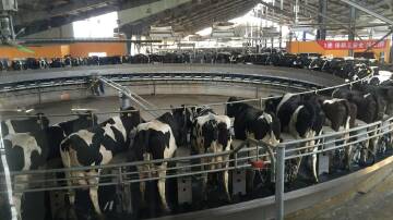 GENETICS FOR GAINS: The earlier the focus on breeding to help reduce the emissions footprint of milk, the greater the impact breeding can have.