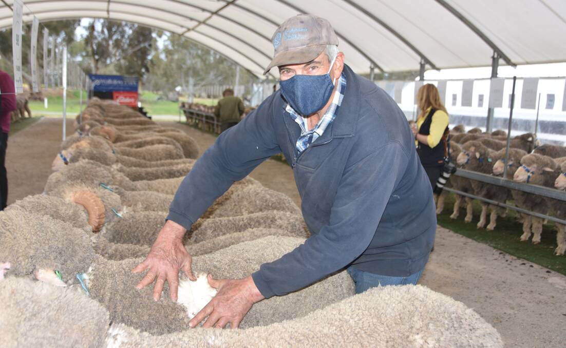 BUYER: Dadswells Bridge farmer Peter Jackman, a repeat Wallaloo Park client, with one of the rams he bought.