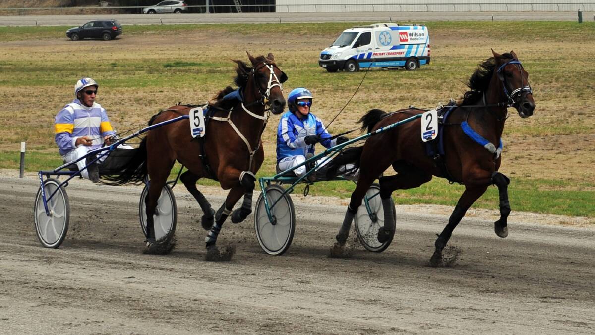 RACING: Stawell Harness Racing Club says it is in a "strong position to go forward" after some recent challenges. Picture: FILE