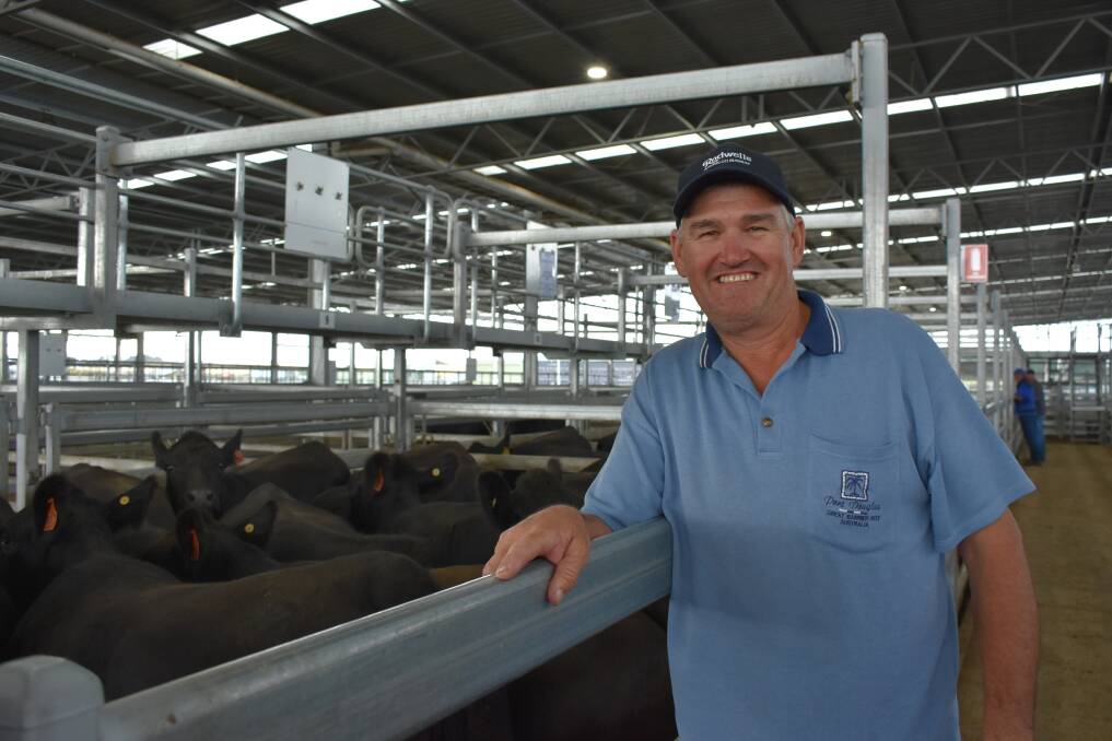 WINNERS ARE GRINNERS: Brett Stewart, Wimmera Downs, Greens Creek, was again successful in growing out Toora West heifers and selling them at Ballarat.