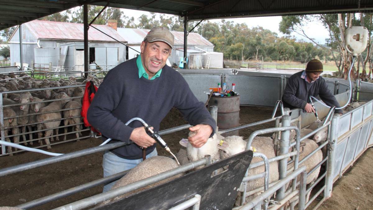 MEDAL WINNER: Ararat prime lamb producer Charlie de Fegely has been awarded a prestigious medal, for his work in pasture improvement.