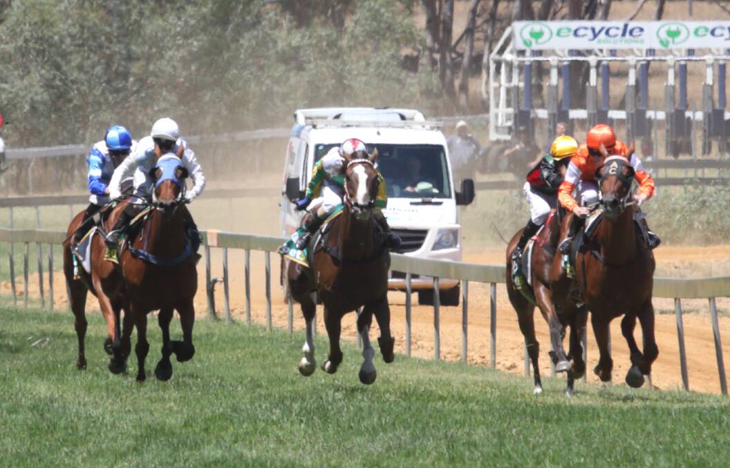 FINAL FLURRY: The field storms down the straight, heading for home in the 2018 Seppelt Great Western Cup.