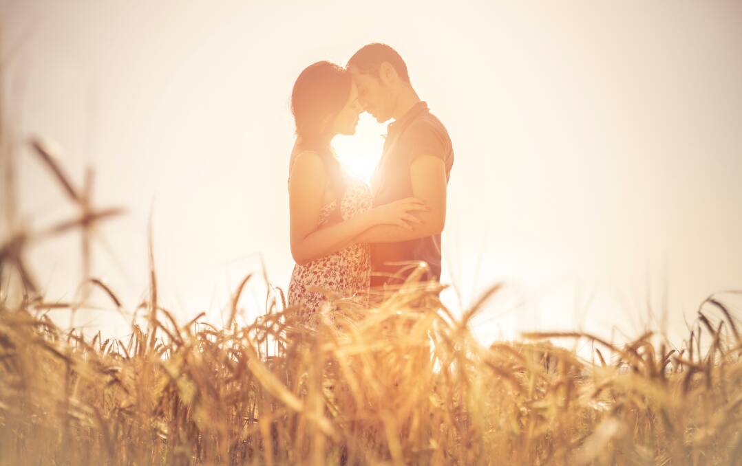 ROMANTIC: In agriculture, true love is probably not pashing it up in a wheatfield but more likely both pitching in to harvest the wheat without complaining. Picture: Shutterstock