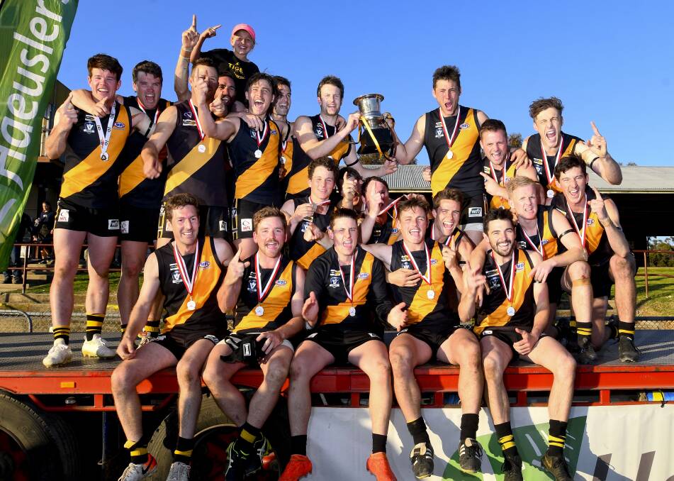 PREMIERSHIP ROAR: Sea Lake-Nandaly Tigers players after winning Saturday's NCFL grand final against Birchip-Watchem. Pictures: NONI HYETT