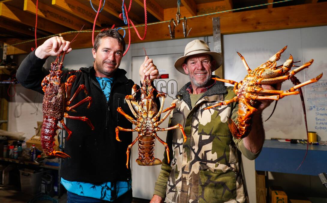 FROM THE BOAT: Simon Nash and Vincent Loving with rock lobsters they're selling at Port Campbell.
