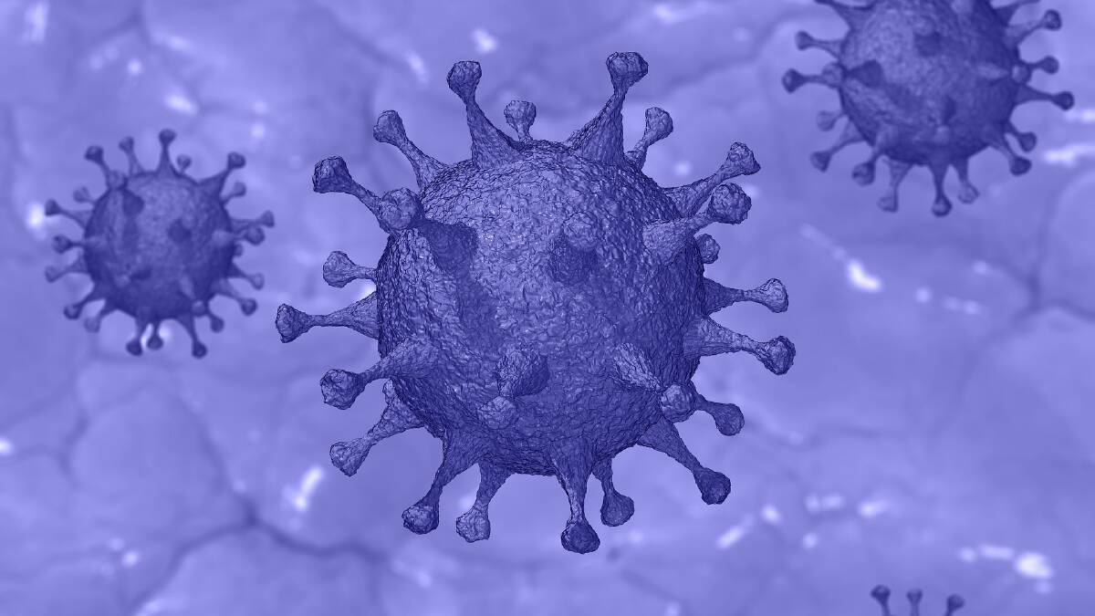 Stawell COVID-19 free, Kilmore outbreak at five | Coronavirus