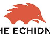 Meet The Echidna, your morning newsletter with a difference