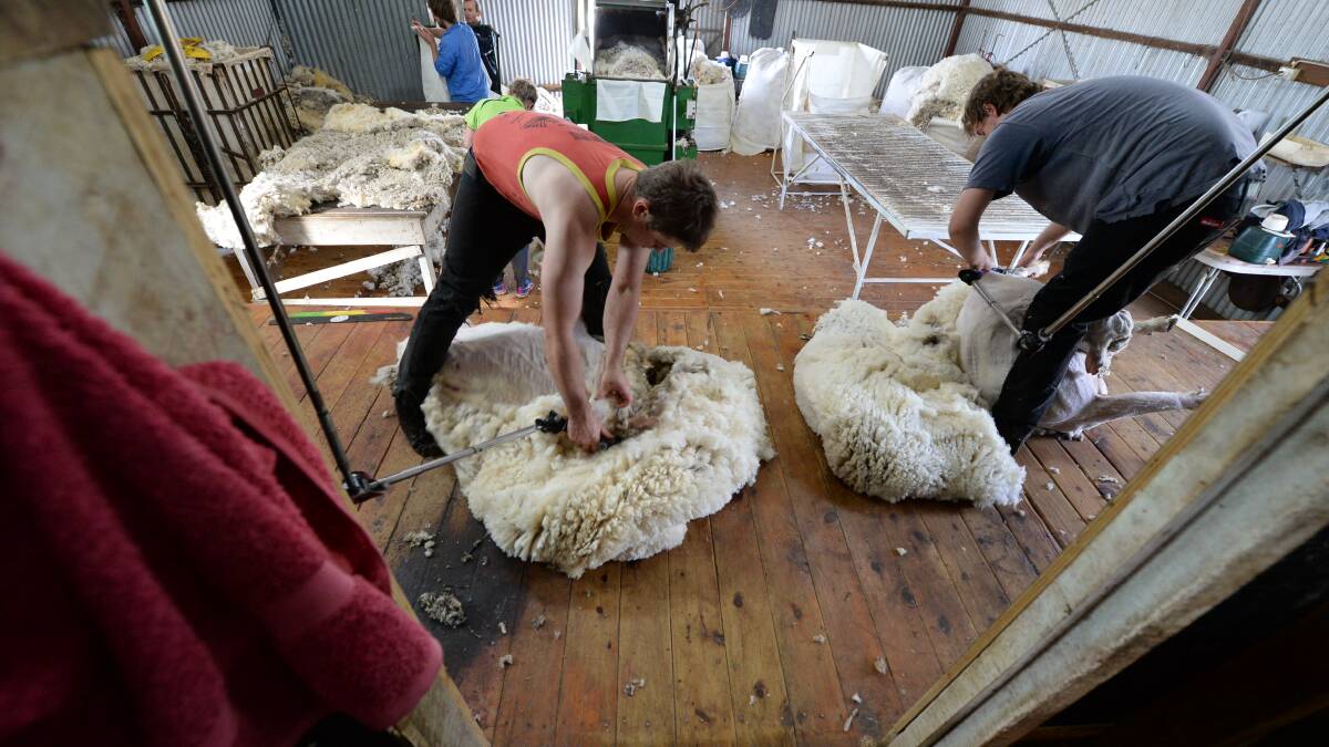Dreaming of becoming an Olympian? Shearers, don't give up your day job, it could happen. 
