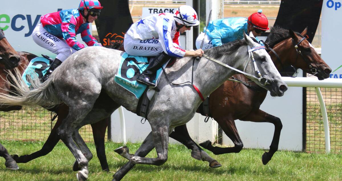 Photo finish: Declan Bates gets Stawell trained Crystal Tycoon over the line in a photo finish of race four at the Halls Gap Cup meeting on Friday. Picture: Matt Rigby