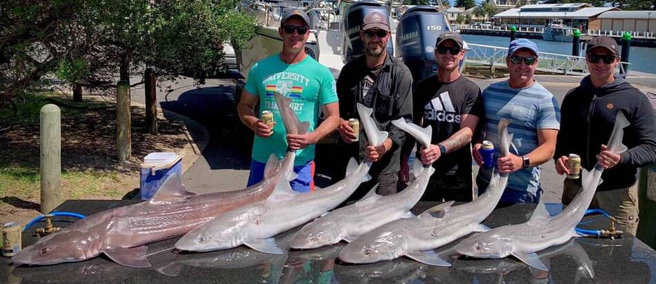 NICE CATCH: Salty Dog Charters' customers with a swag of gummy shark. Picture: SUPPLIED