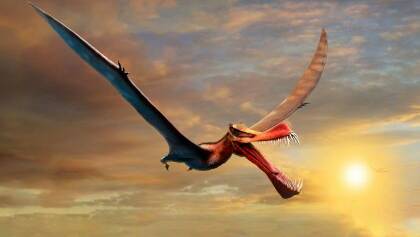 An artists impression of the new pterosaur has been named Thapunngaka shawi
