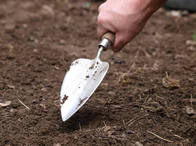 DIG IT: Sneeboer trowels are ideal for planting smaller plants in the garden. 
