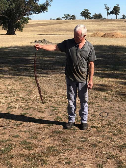 MAN FRAN HISS GO: Laharum snake catcher Mark Francisco says a year of good rainfall has provided the perfect breeding conditions for the Grampians' venomous snakes.