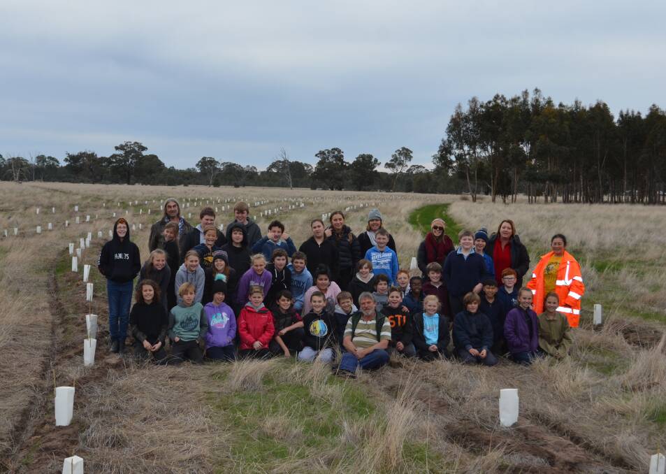 Stawell Primary School grade five students planting for Project Platypus near Lake Fyans. Picture: Contributed 