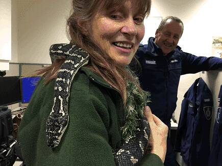 FOUND: Owner Kath Chapman (left), with the carpet python now known as Obelius and DELWP senior forest and wildlife officer Paul Ryan. Picture: CONTRIBUTED 