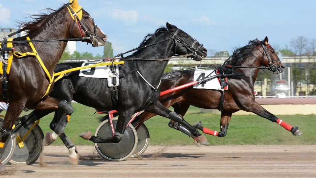 Harness racing returns to Ararat on Tuesday with a seven-event, daytime card commencing at 2.33pm. 