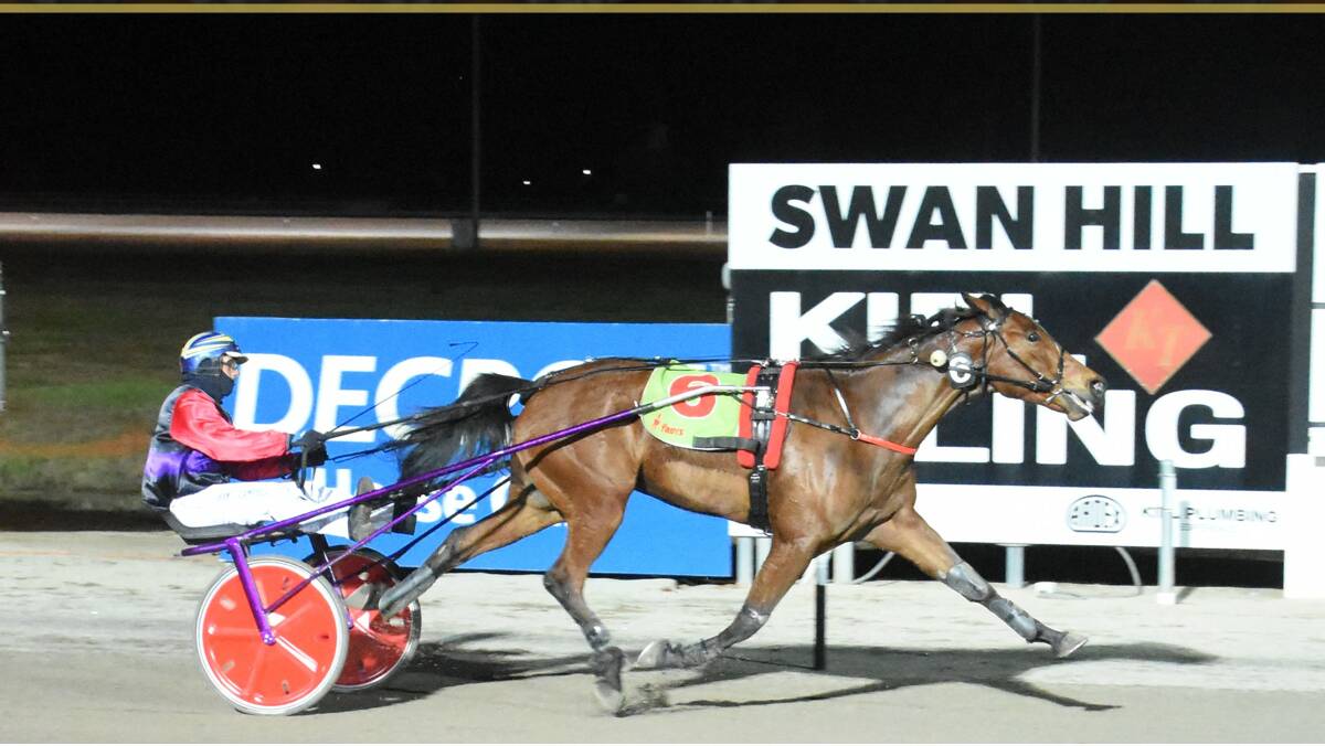 Stawell owned and trained gelding The Penny Drops will attempt to add a home-track trophy to the collection at Laidlaw Park Stawell on Sunday afternoon. Picture supplied