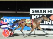 Stawell owned and trained gelding The Penny Drops will attempt to add a home-track trophy to the collection at Laidlaw Park Stawell on Sunday afternoon. Picture supplied